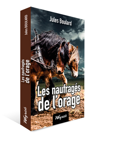 Les naufragés de l'orage