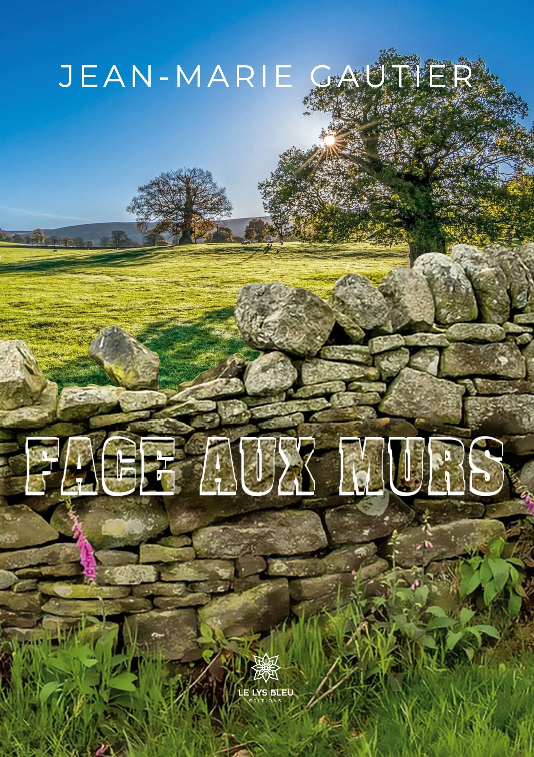 Face aux murs