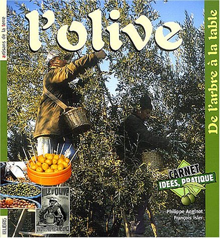 l'olive : de l'arbre au moulin