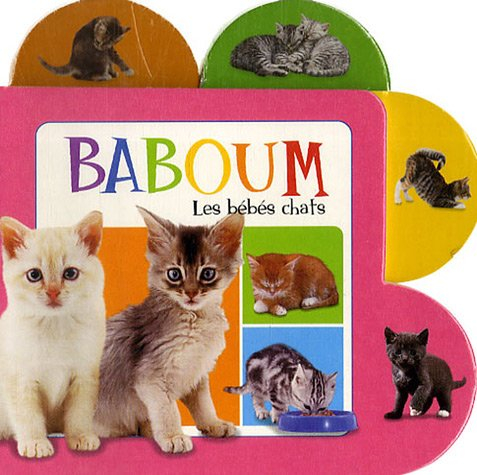 Les bébés chats