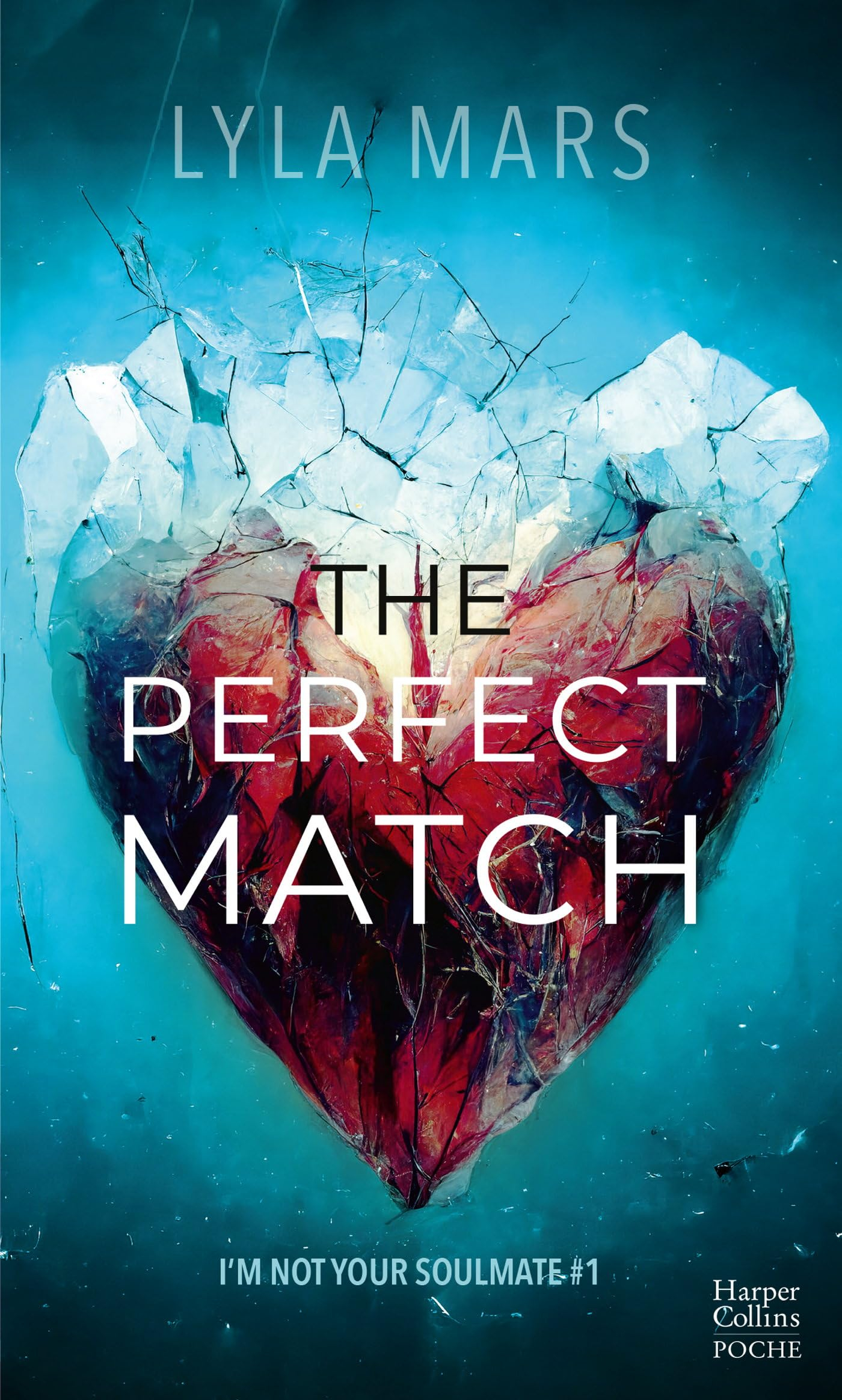 I'm not your soulmate. Vol. 1. The perfect match