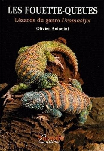 Les Fouette-queues: Lézards du genre Uromastyx
