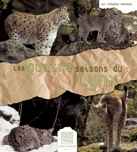 Les quatre saisons du lynx