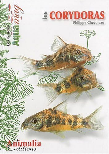 Les corydoras : corydoras aeneus, paleatus & Cie