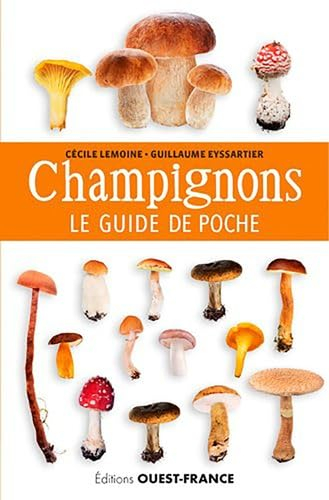 Champignons : le guide de poche