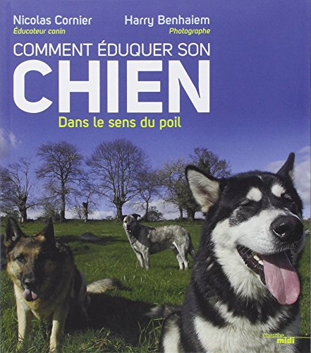Comment éduquer son chien : dans le sens du poil