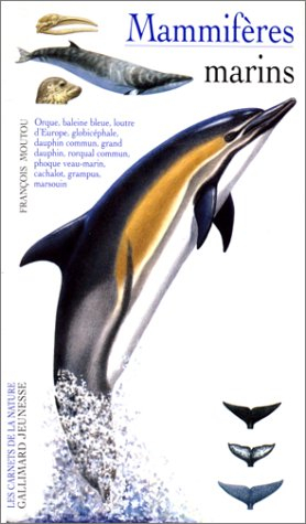Mammifères marins