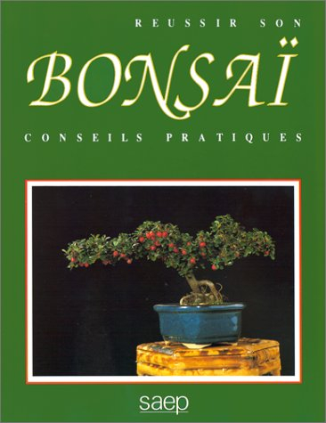 Réussir son bonsaï : conseils pratiques