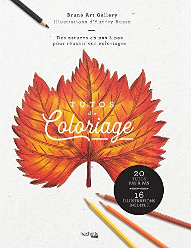 Tutos de coloriage : des astuces en pas à pas pour réussir vos coloriages