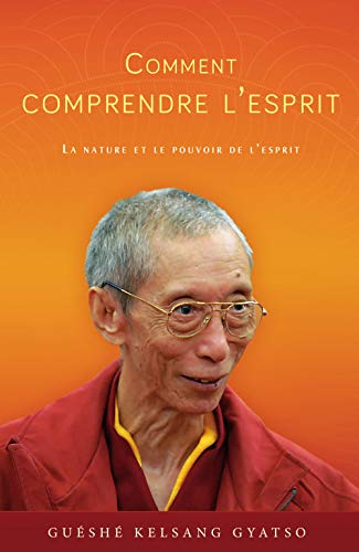 Comment comprendre l'esprit : la nature et le pouvoir de l'esprit