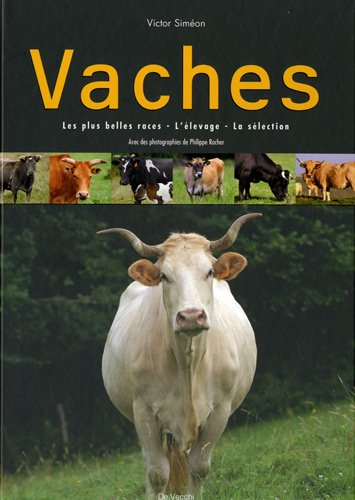 Vaches : les plus belles races, l'élevage, la sélection