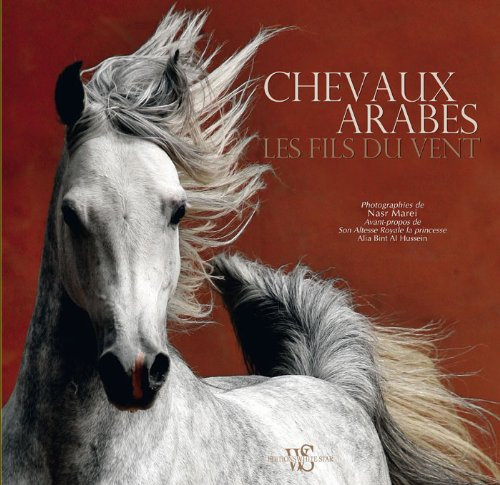 Chevaux arabes : les fils du vent