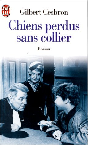 chiens perdus sans collier