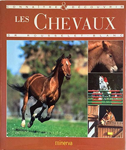 Connaître et découvrir les chevaux