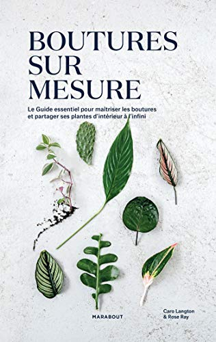 Boutures sur mesure : le guide essentiel pour maîtriser les boutures et partager ses plantes d'intér