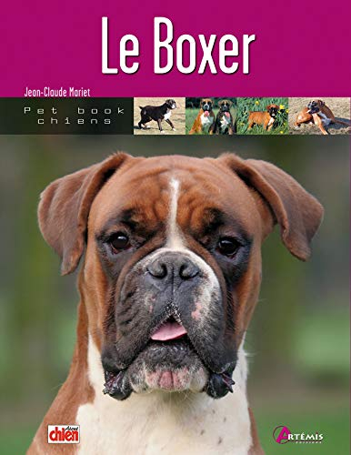 Le boxer