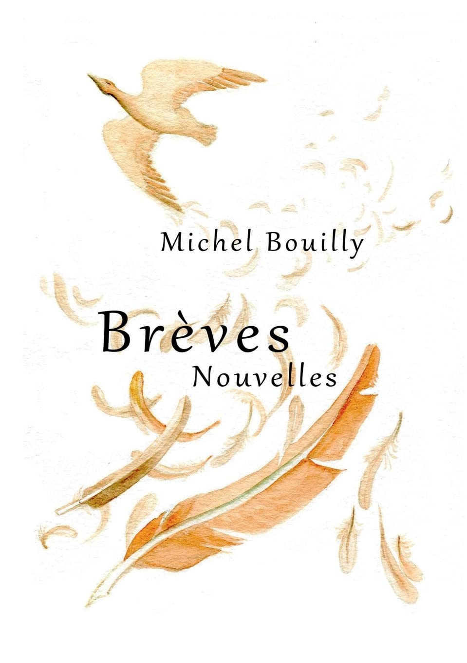 Brèves Nouvelles