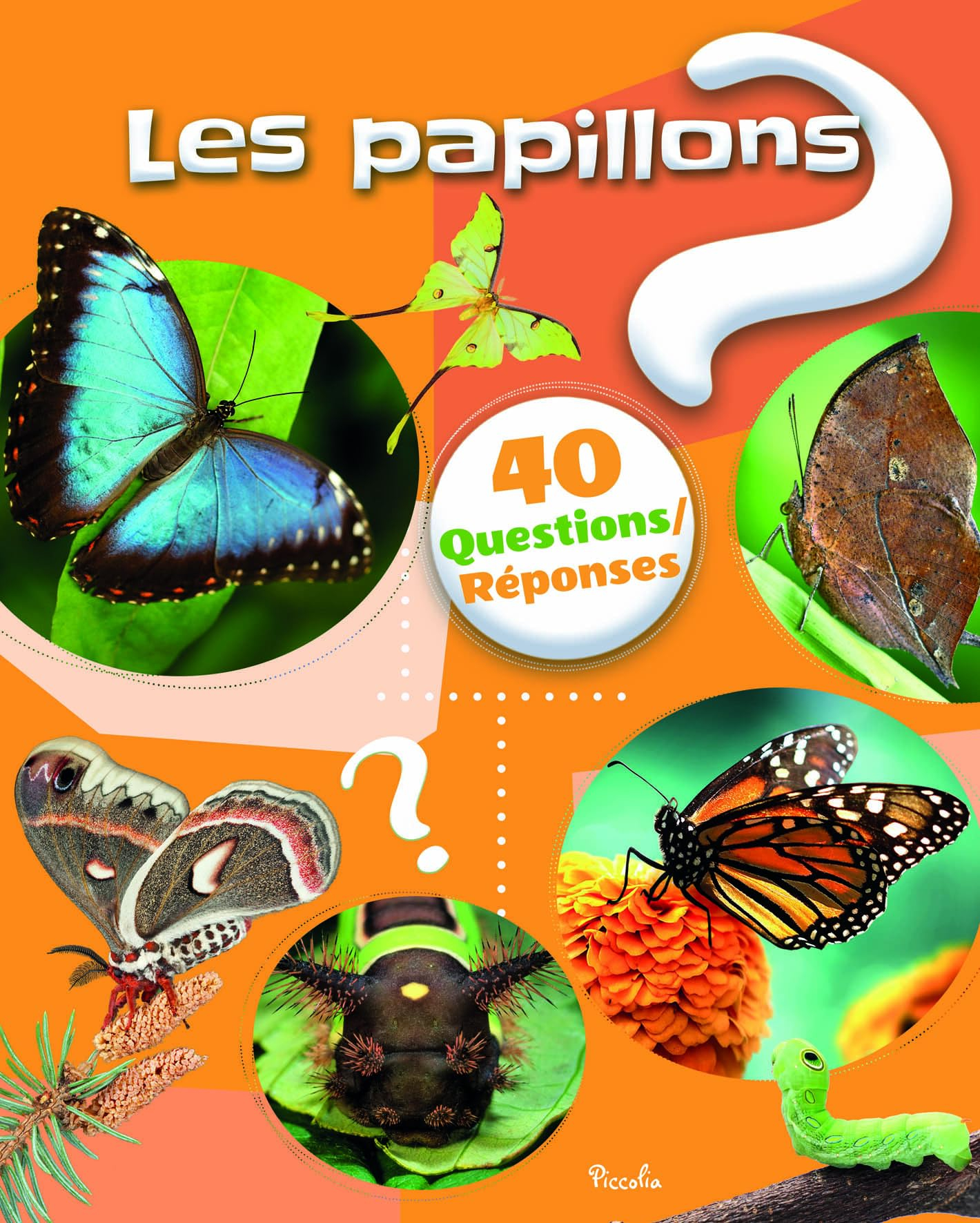 Les papillons
