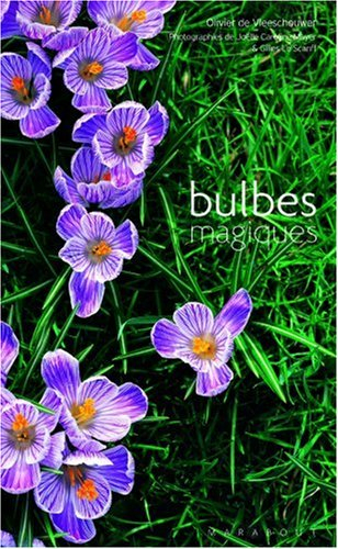 Bulbes magiques
