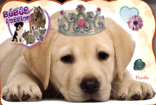 Chien