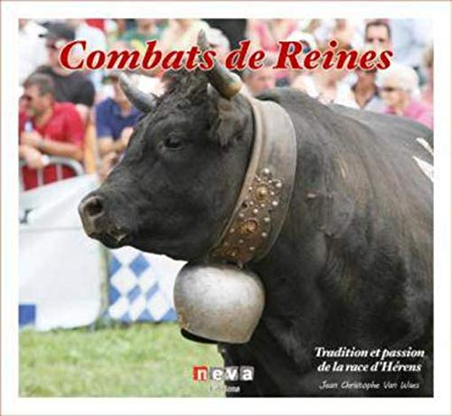 Combats de reines : tradition et passion de la race d'Hérens