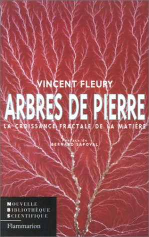 Arbres de pierre : la croissance fractale de la matière