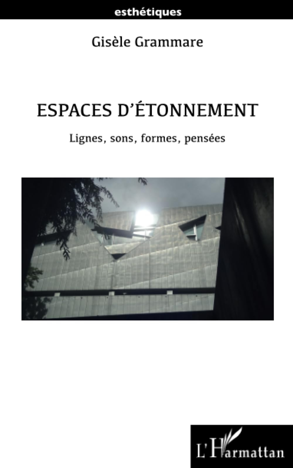 Espaces d'étonnement : lignes, sons, formes, pensées