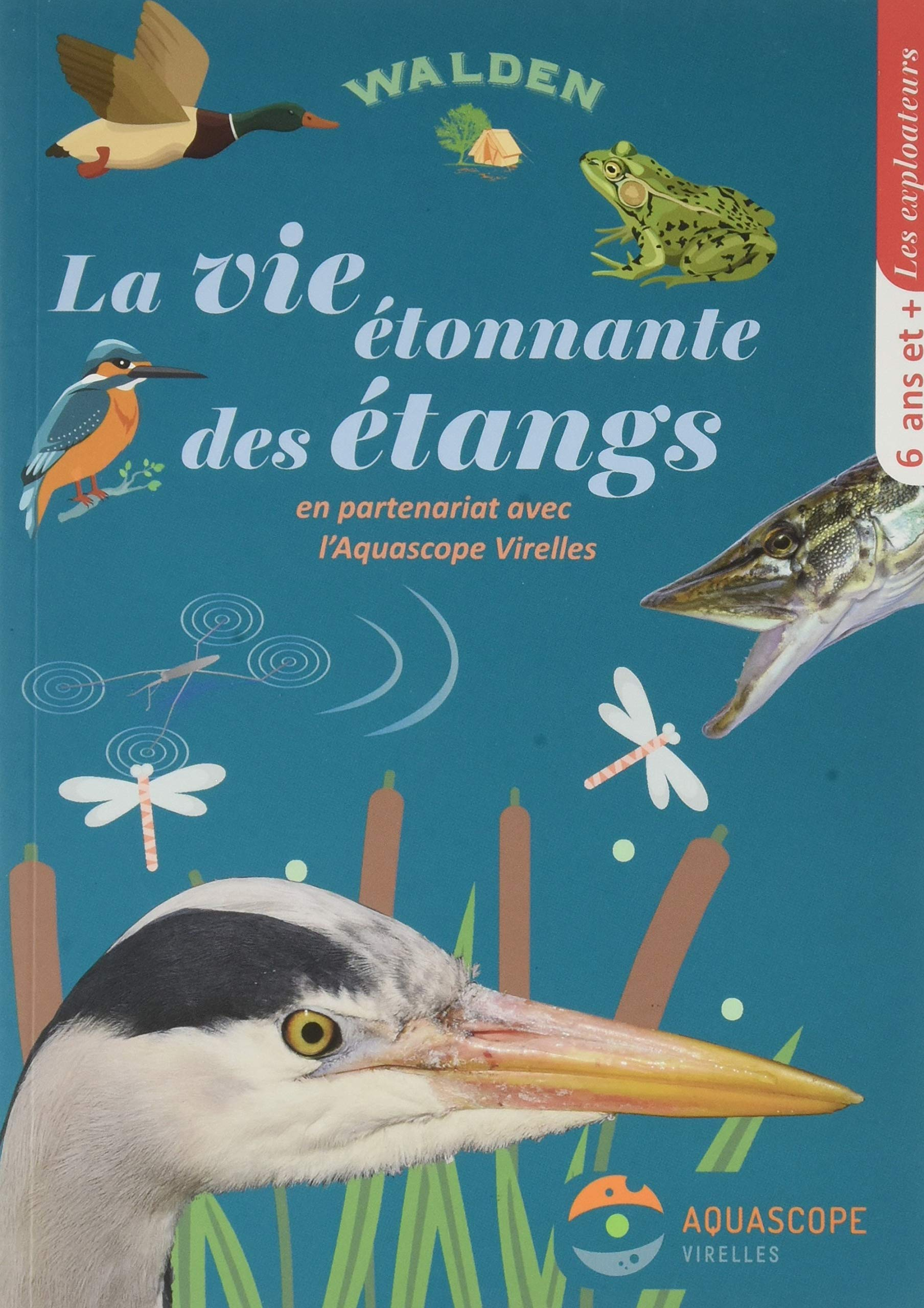 La vie étonnante des étangs