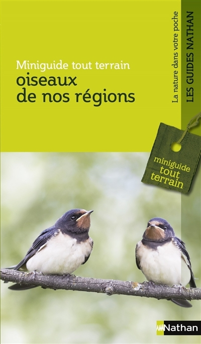 Oiseaux de nos régions