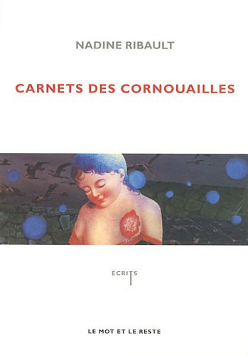 Carnets des Cornouailles : cette pose sur le bord d'un abîme