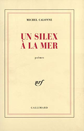 Un Silex à la mer