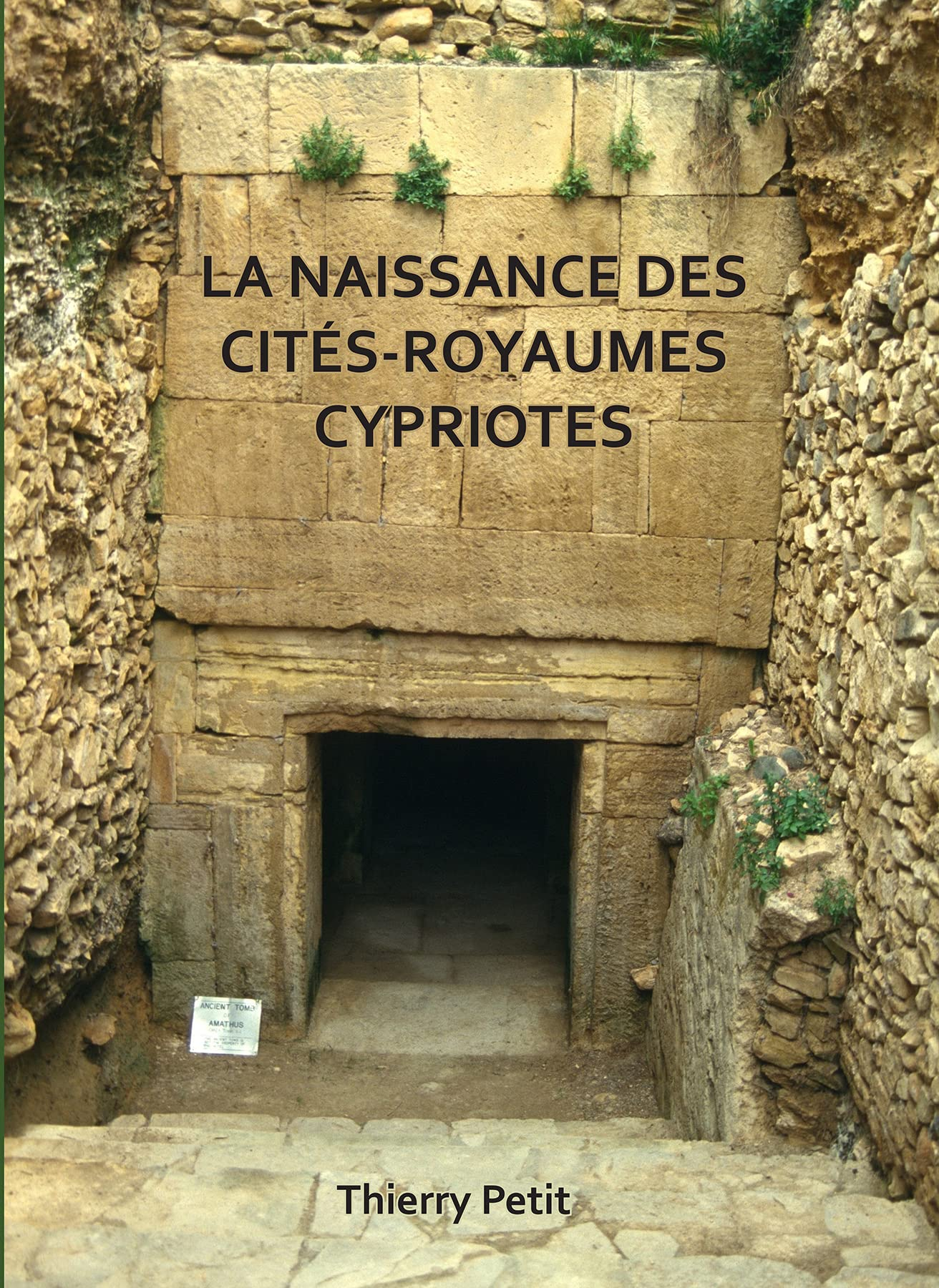 La Naissance Des Cités-Royaumes Cypriotes