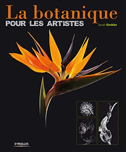La botanique pour les artistes