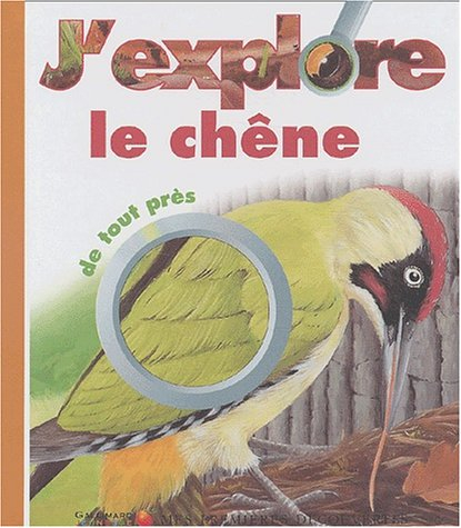 J'explore le chêne de tout près