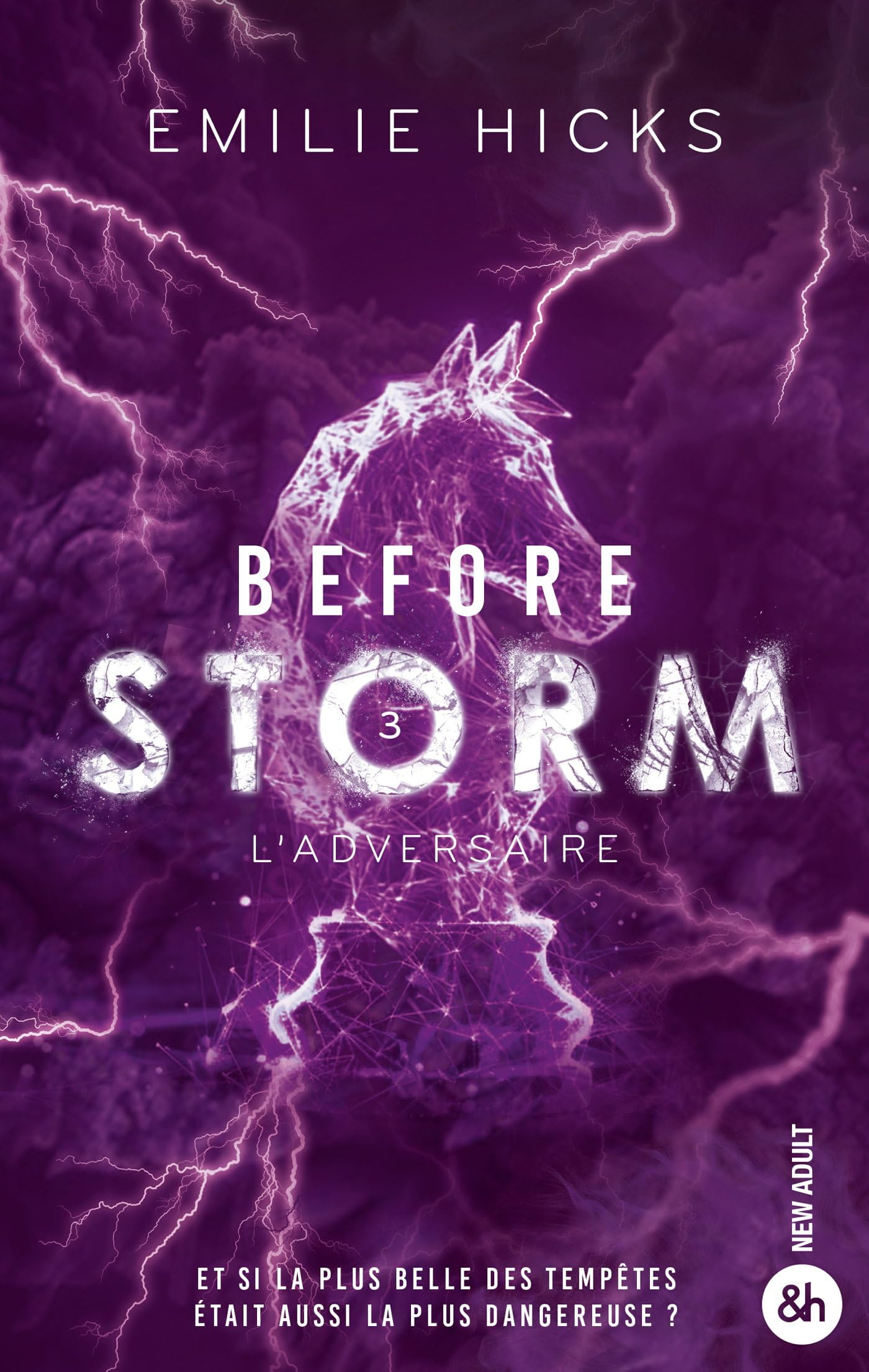 Before Storm. Vol. 3. L'adversaire