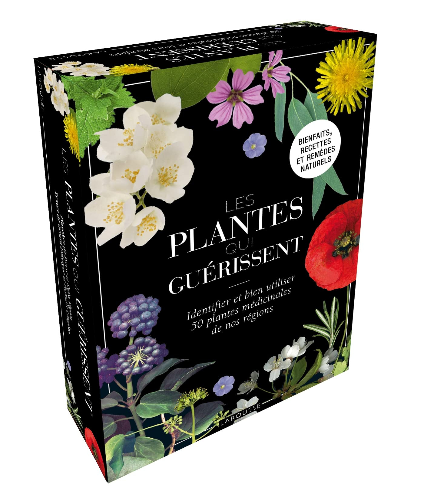 Les plantes qui guérissent : identifier et bien utiliser 50 plantes médicinales de nos régions : bie