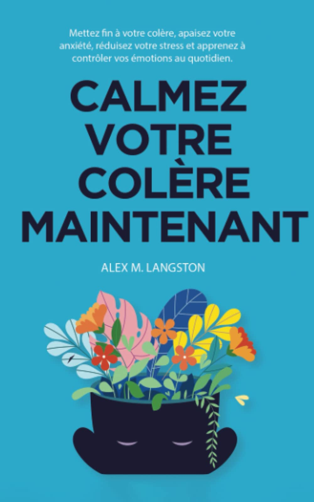 Calmez Votre Colère Maintenant: Mettez fin à votre colère, apaisez votre anxiété, réduisez votre str