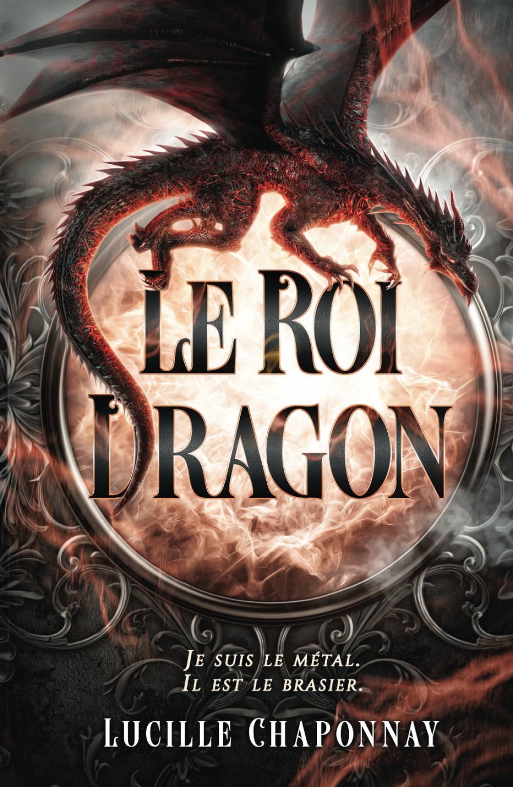 Le Roi Dragon: Une romantasy One-Shot