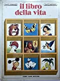 Vocabulaire anglais illustré