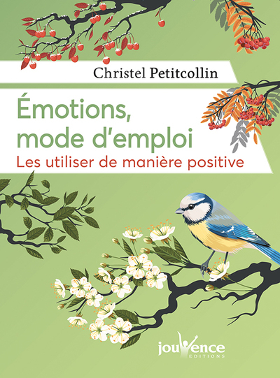 Emotions, mode d'emploi : les utiliser de manière positive