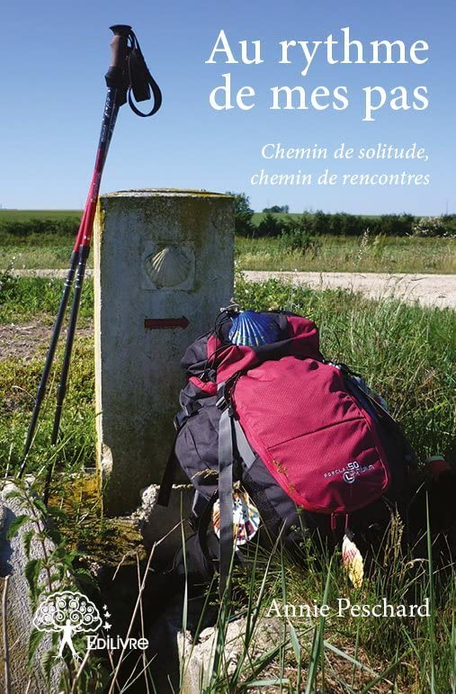 Au rythme de mes pas - chemin de solitude, chemin de rencontres: Dans l?intimité d?une pèlerine