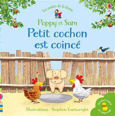 Petit cochon est coincé