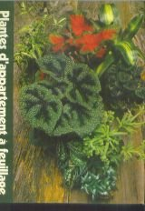 plantes d'appartement à feuillage