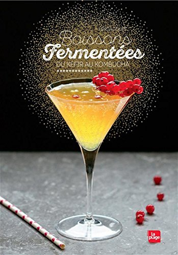 Boissons fermentées : du kéfir au kombucha