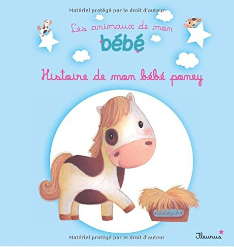 Histoire de mon bébé poney