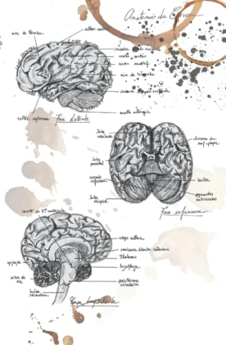 Carnet de notes - Notebook : Vintage anatomy collection : the brain