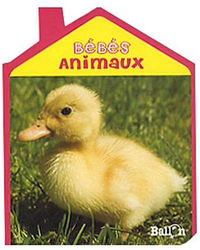Bébés animaux