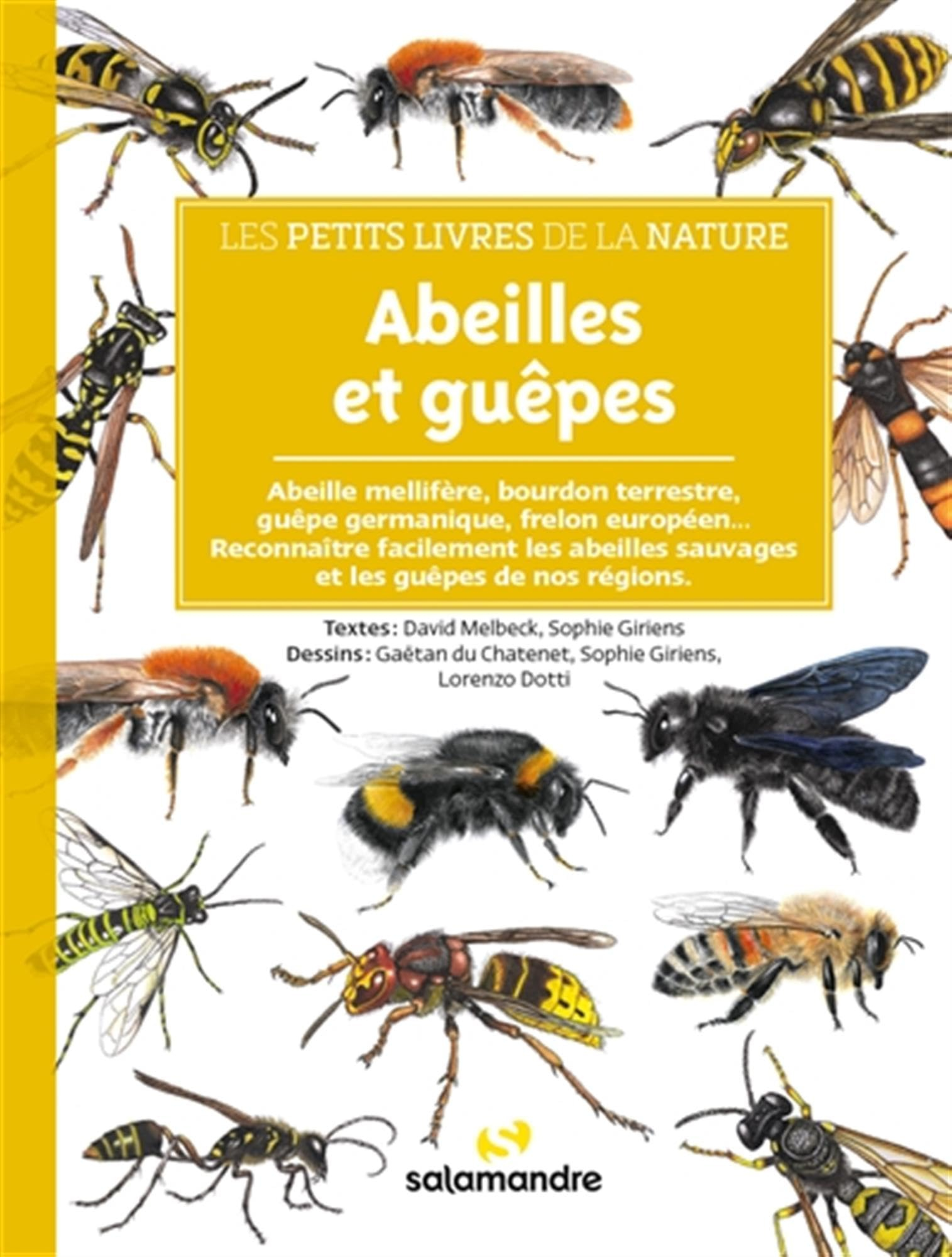 Abeilles et guêpes : abeille mellifère, bourdon terrestre, guêpe germanique, frelon européen... : re