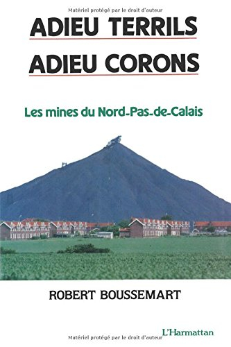 Adieu terrils, adieu corons : les mines du Nord-Pas-de-Calais