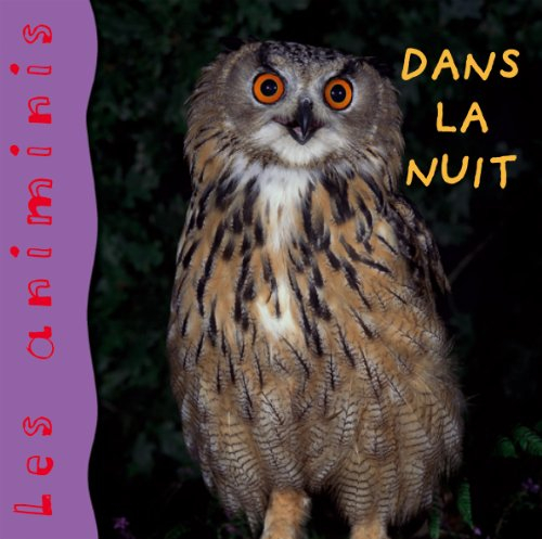 Animaux dans la nuit